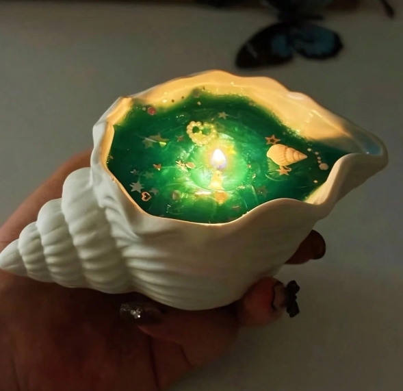 Seashell - Image 6