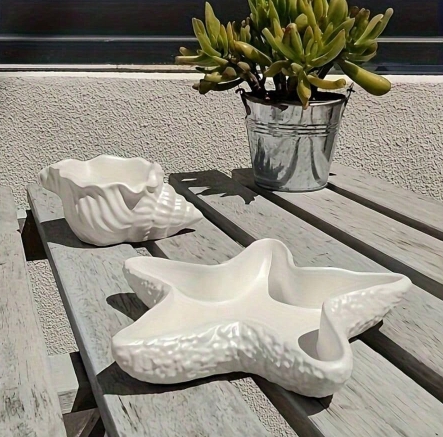 Seashell - Image 4