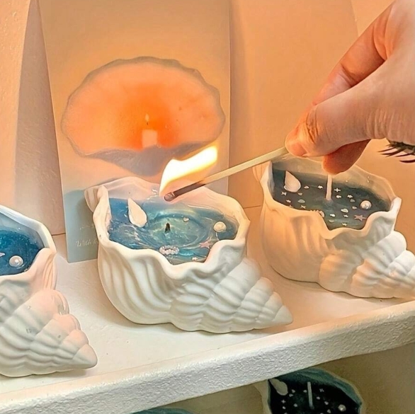 Seashell - Image 3