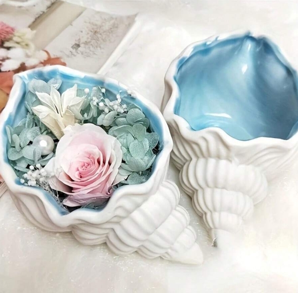 Seashell - Image 2