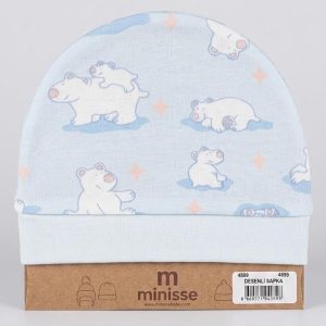 Polar Dream Hat