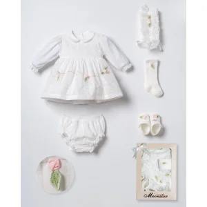 Blush Rose Embroidered Dress Set